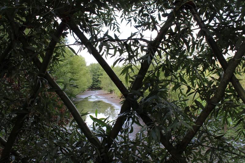 Sortie nature d'halloween