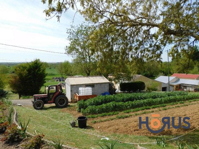 Viager - Maison - 108 m² - 5 pièces