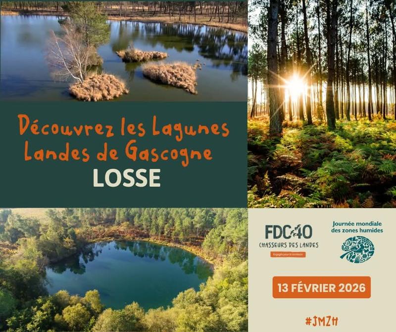 Découvrez les lagunes des Landes de Gascogne