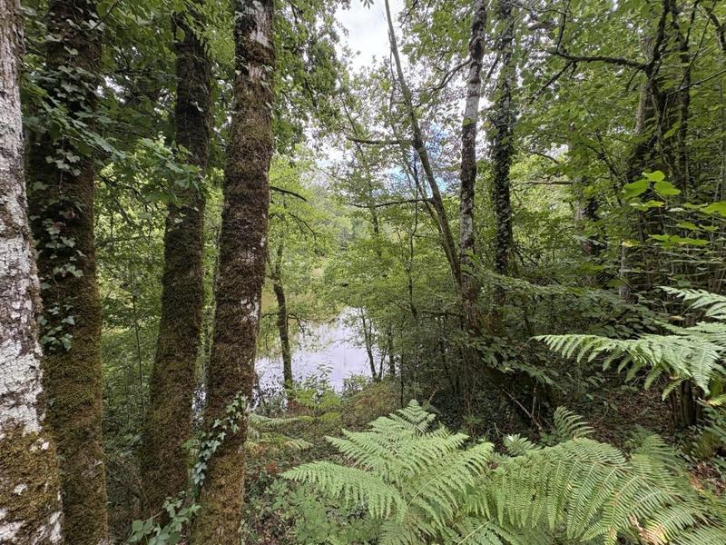 Terrain - 41 380 m²