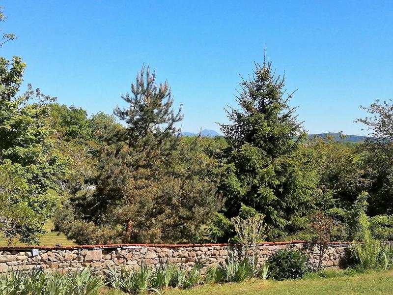 Maison - 320 m² - 10 pièces