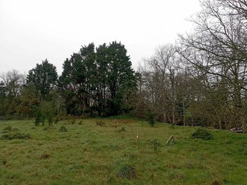 Terrain constructible - 1 742 m²