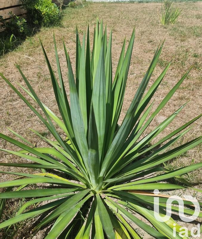 Maison - 175 m² - 5 pièces