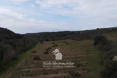 Terrain agricole - 40 428 m²