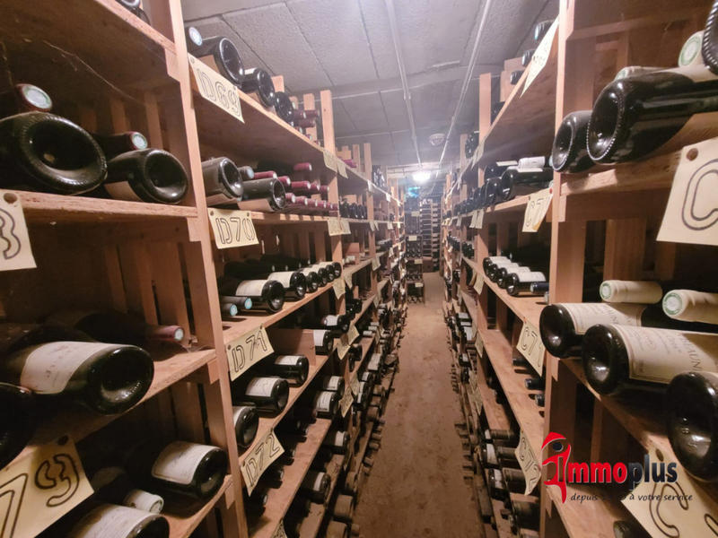 Local commercial - 712 m² - 17 pièces