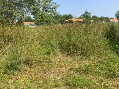 Terrain constructible - 1 500 m²