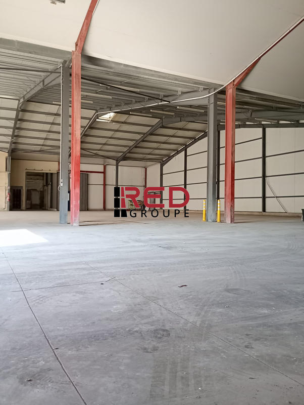 Entrepôt - 3 225 m²