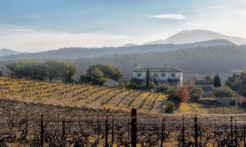 Domaine de Mourchon - Visite et Dégustation