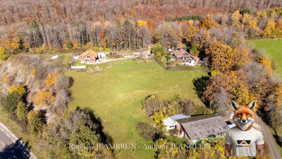 Maison - 346 m² - 15 pièces