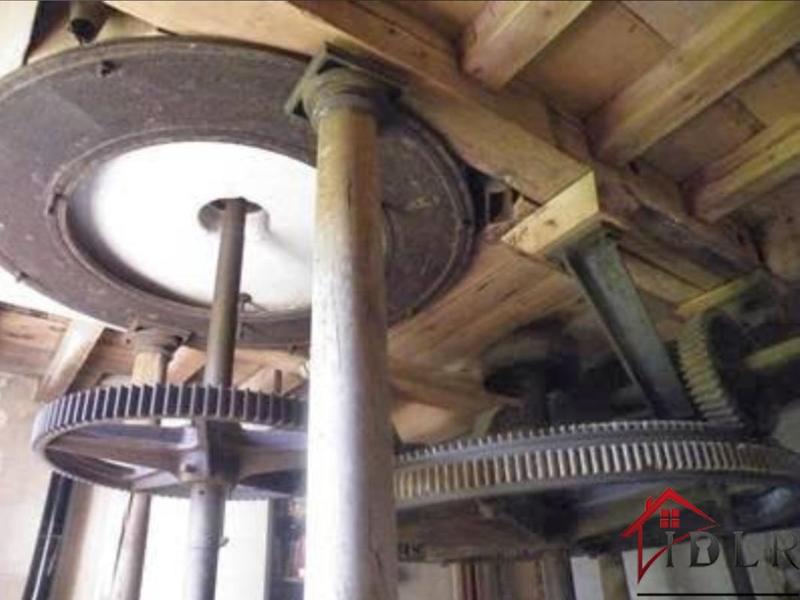 Moulin - 300 m² - 7 pièces