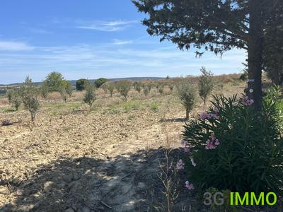 Terrain agricole - 3 341 m²