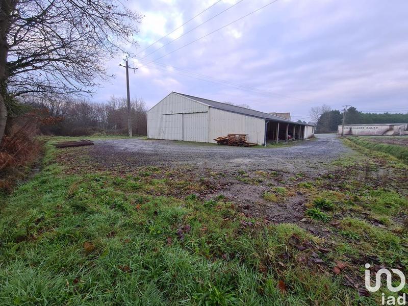 Local commercial - 595 m²