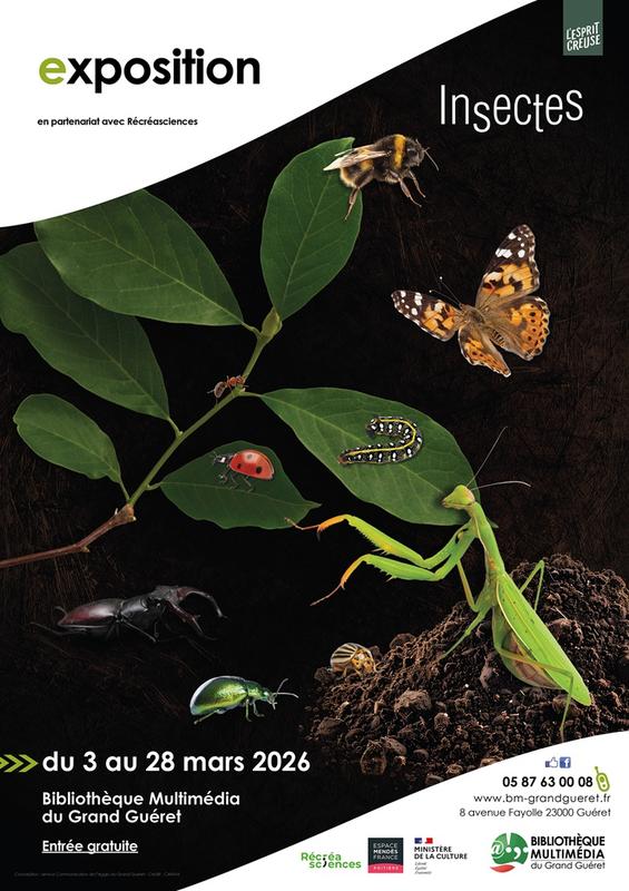 Exposition : Insectes