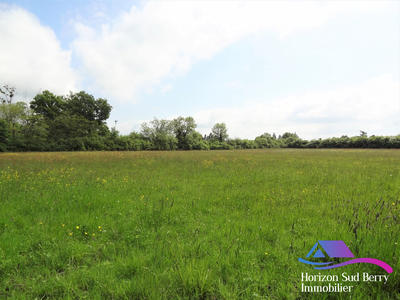 Terrain - 18 805 m²