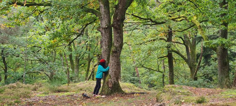 Balade contée à la rencontre des arbres