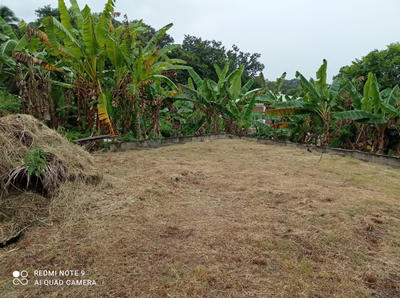 Terrain - 841 m²