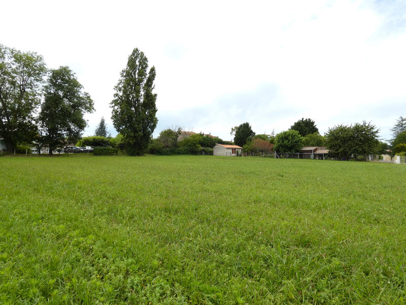 Terrain - 2 250 m²