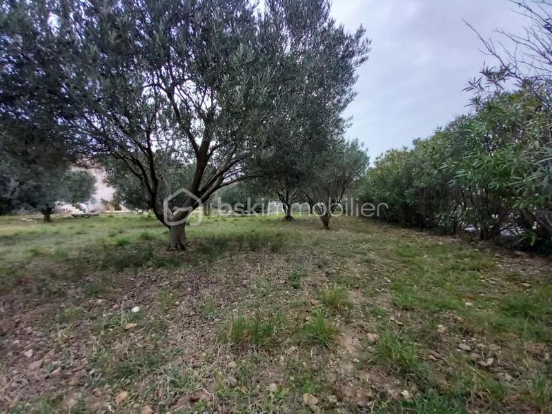 Terrain - 330 m²
