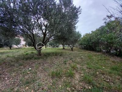 Terrain - 330 m²