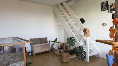 Appartement - 47 m² - 2 pièces