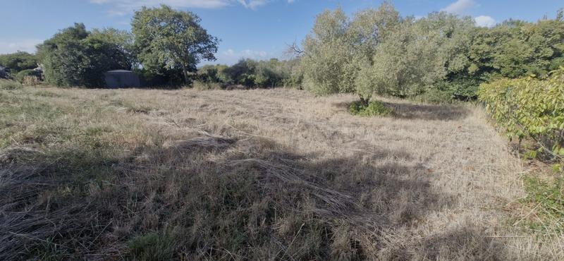 Terrain constructible - 783 m²