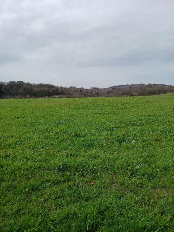 Propriété - 144 m² - 5 pièces