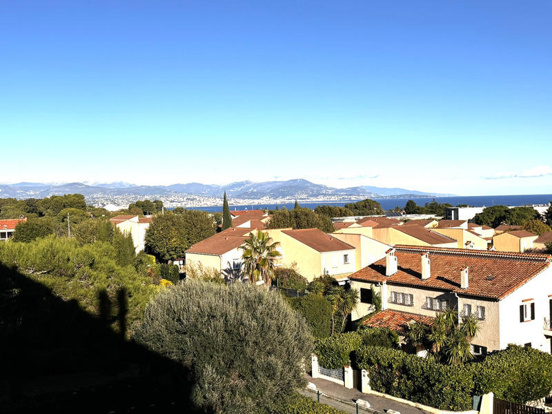 Studio - 24 m² - 1 pièce