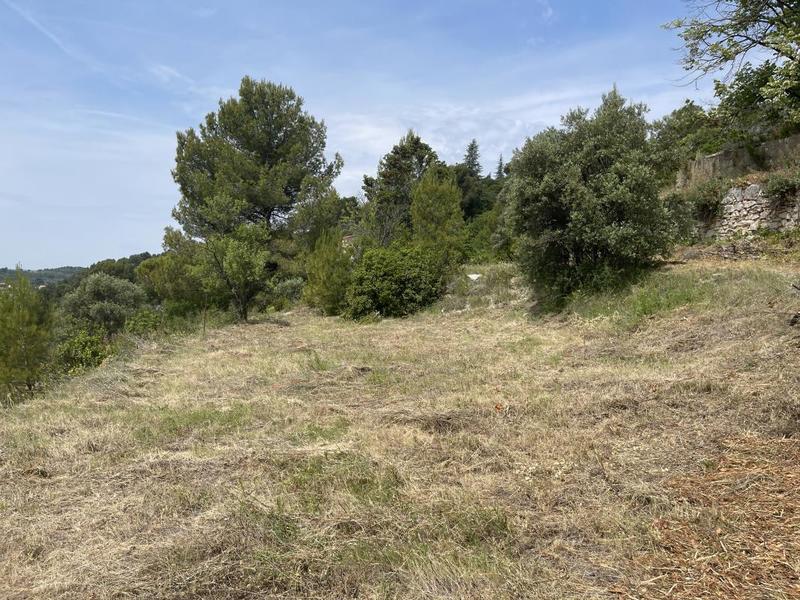 Terrain - 7 932 m²