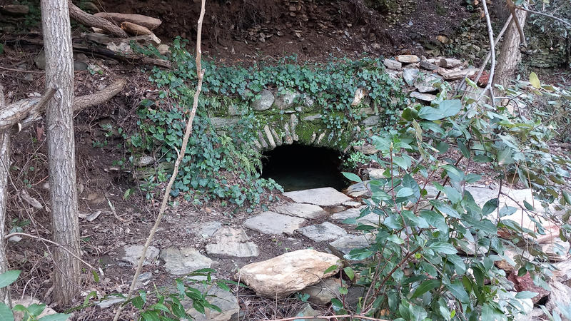 Terrain de loisirs - 31 439 m²