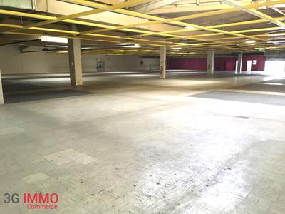 Local commercial - 3 300 m² - 4 pièces
