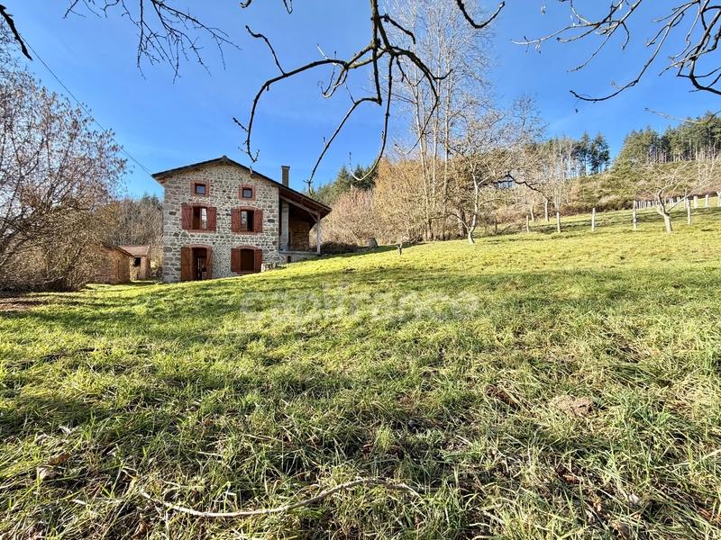 Maison en pierre - 140 m² - 5 pièces