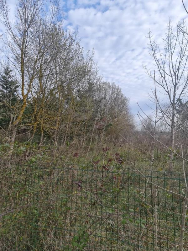 Terrain de loisirs - 1 065 m²