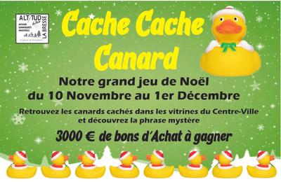 Cache Cache Canard