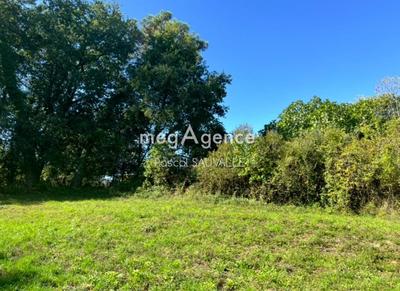 Terrain constructible - 1 516 m²