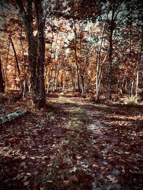 Maison - 220 m² - 7 pièces