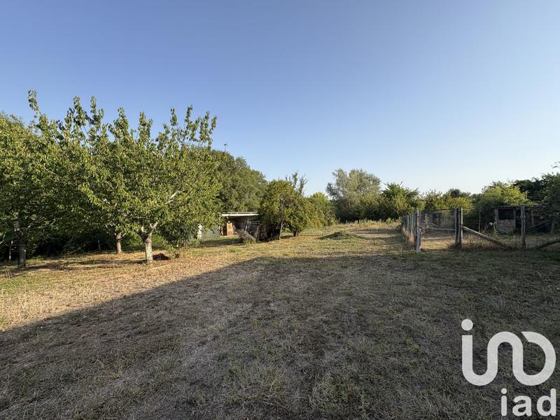 Ferme - 73 m² - 3 pièces