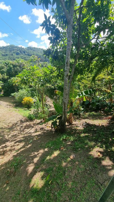 Maison de campagne - 100 m² - 4 pièces