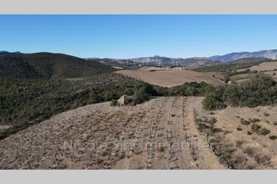 Terrain agricole - 11 020 m²