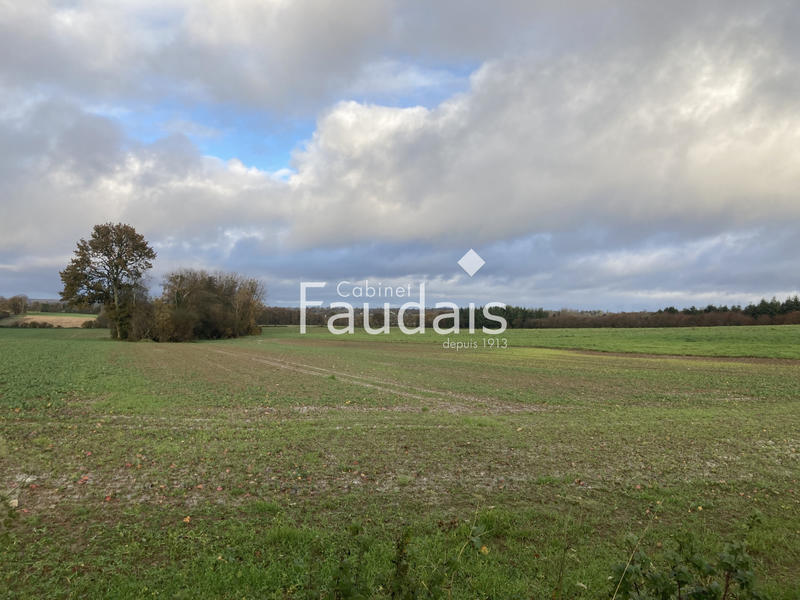 Terrain agricole - 121 154 m²