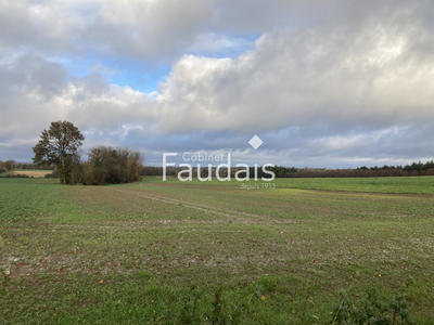 Terrain agricole - 121 154 m²