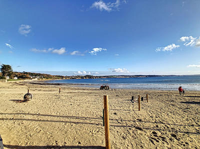 Appartement - 48 m² - 3 pièces