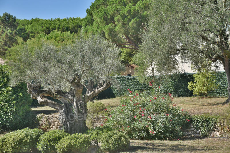 Villa - 196 m² - 6 pièces