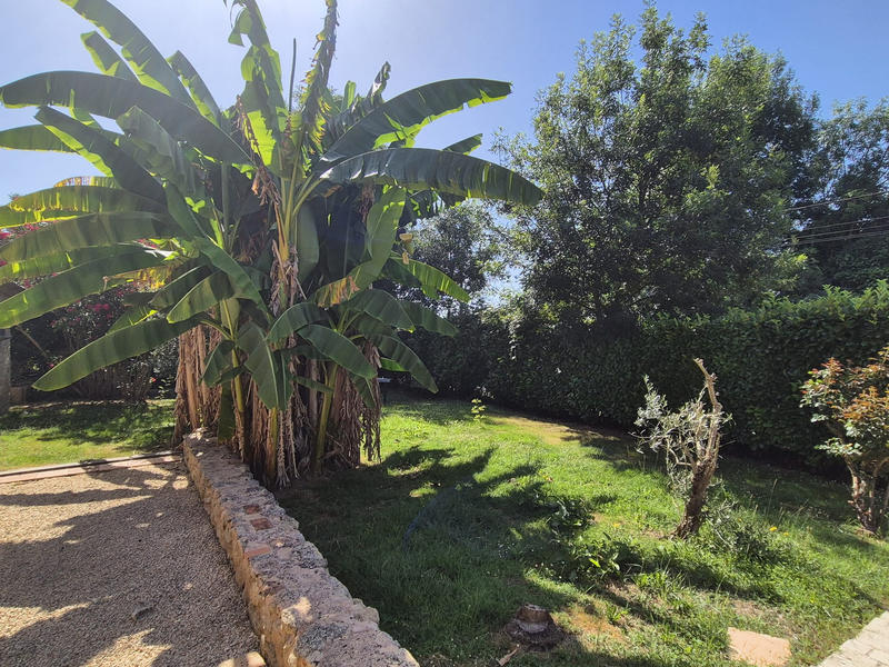 Maison - 211 m² - 7 pièces