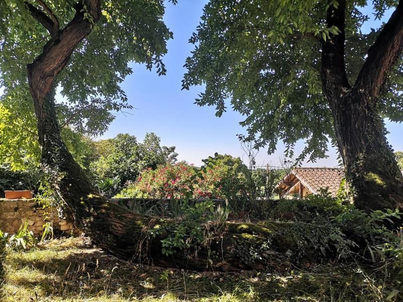 Maison de ville - 283 m² - 7 pièces