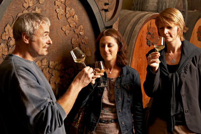 Obernai Version Aoc - ville et cave