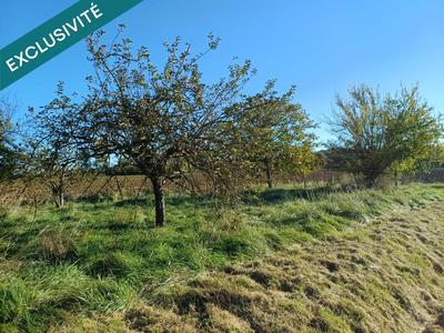 Terrain agricole - 1 699 m²
