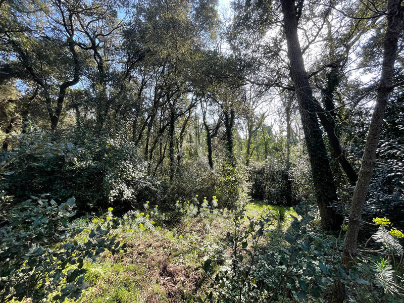 Maison - 130 m² - 8 pièces