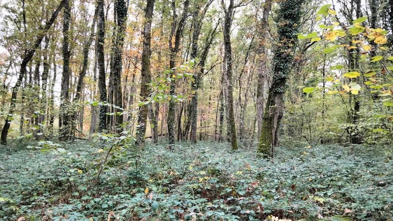 Terrain - 18 490 m²