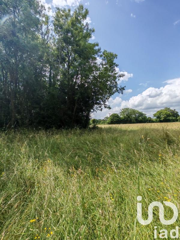 Terrain - 31 982 m²