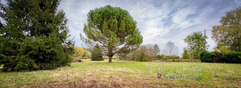 Terrain constructible - 4 617 m²